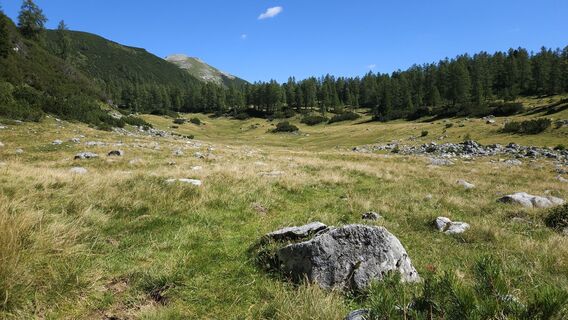 Foto från kriessda under resans gång