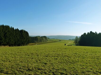Nutscheid