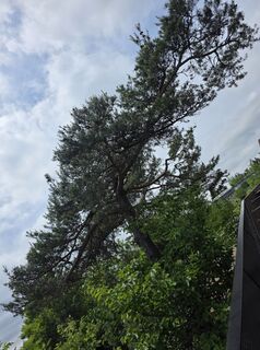 Foto von Mario Wulz entlang der Tour