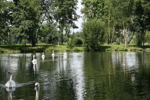 grüne trasse_5_bacouel sur selle_somme_picardie
