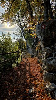 Photo de Danijel Sorola le long du parcours