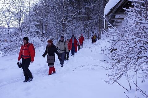 Auf dem Weg von Alpl nach Langenwang