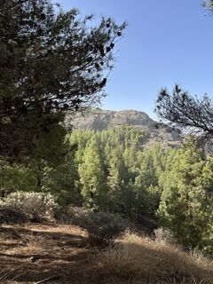 Foto de justasimpleguy a lo largo del recorrido