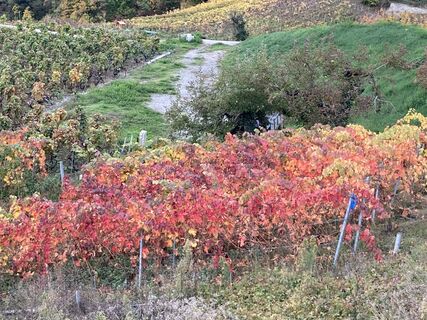 Photo de Heinrich Mocellini le long du parcours