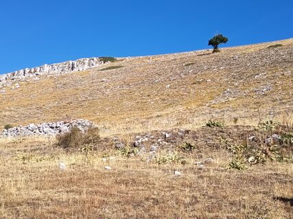 Foto von maria ricotta entlang der Tour