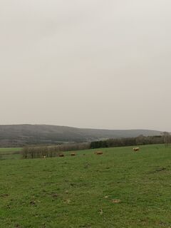 Photo from vieletausendkilometer along the tour