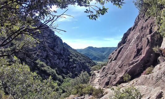Colombieres_Schlucht_-_Eric_Brendle__7