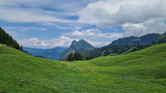 Fotografie z Gerrit van der Linde na trase