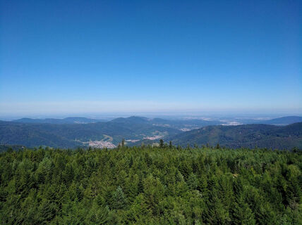 Ausblick vom Hohlohturm ins Murgtal