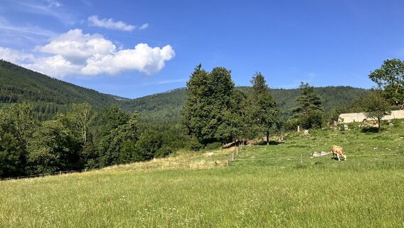 Foto von Robert Gerard entlang der Tour