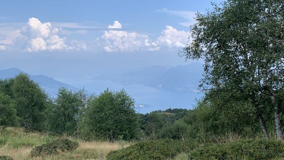 Foto de Koen De Wit a lo largo del recorrido