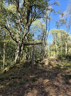 Fotografia z Wollomator na trase