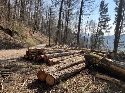 Fotografia z Martin Würsch na trase