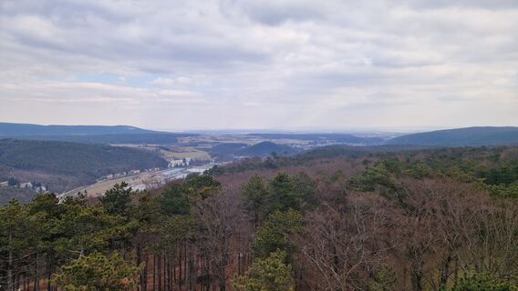 Fotografia z Claudia Maurer na trase
