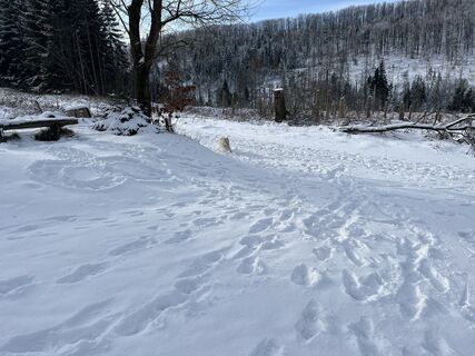 Photo de Andreas Hoffmann le long du parcours