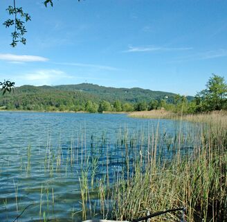 Ramsar Moor Keutschach