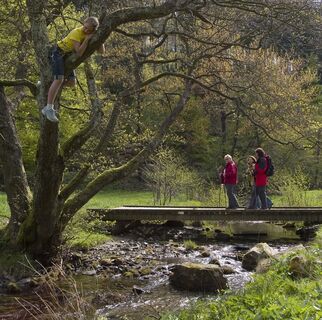 Wanderer überqueren eine Brücke über einen Bach in Willingen