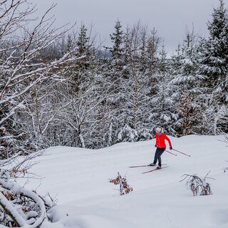 Langläuferin im Winterwald in Willingen