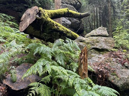 Fotografia z Norbert Herbig na trase