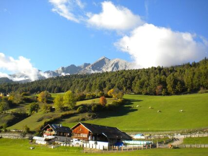 Biobauernhof Veidlerhof