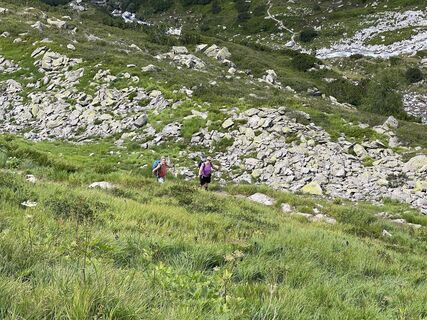 Fotografia z filbro na trase