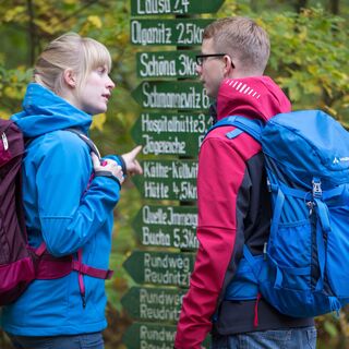 Wanderer in der Dahlener Heide