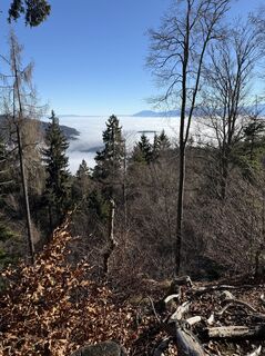 Foto von Cornelia Egger entlang der Tour