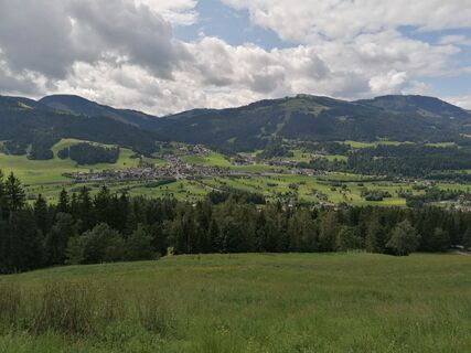 Ellmau_Biedringer Platte-Rundweg_Ausblick_Wilder Kaiser
