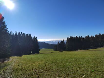 Fotografija s spletne strani ReginaSt na poti