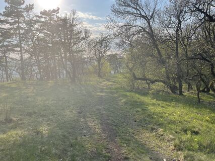 Fotó a Levente Tóth 1 honlapról a túra során