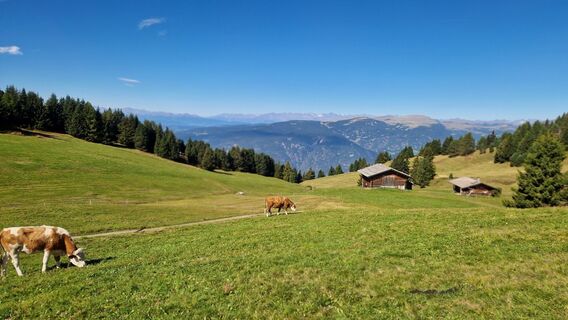 Foto von Gerhard Loibl entlang der Tour