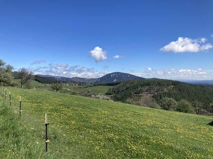 Fotografija s spletne strani Moonytiger na poti