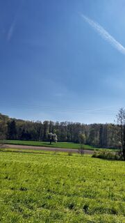 Foto de Frankjogger a lo largo del recorrido