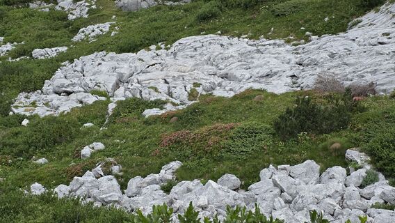 Foto von euterpe42 entlang der Tour