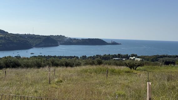 Fotografia z Wilhelm na trase