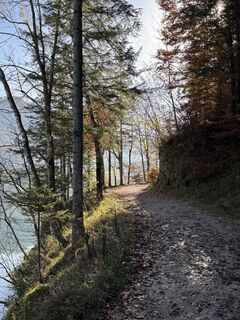 Fotografia z Thomas Waage na trase