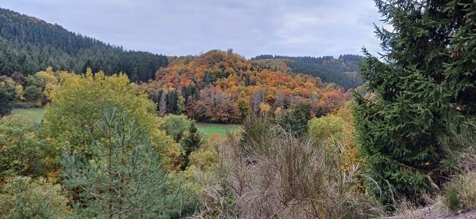 Foto von Erika van den Berg entlang der Tour