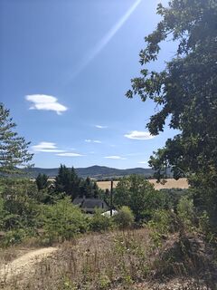 Foto von Edit Szabó 3 entlang der Tour