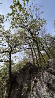 Photo de Kosikheni le long du parcours