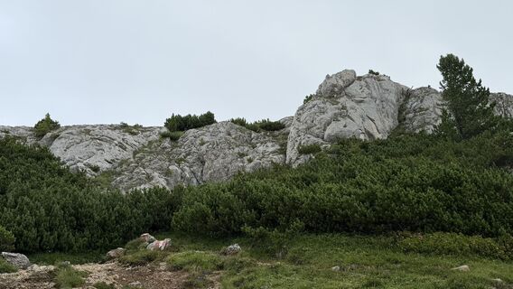 Photo de agn_b le long du parcours
