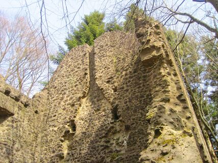 Ausschnitt Burgruine Freudenkoppe