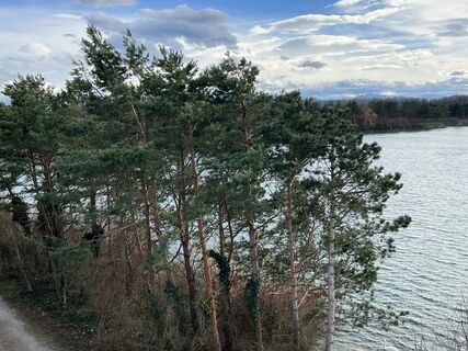 Fotografia z Gerhard Piglmann na trase