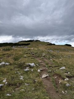 Photo de Alexandra le long du parcours