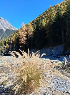 Foto von Stefan38 entlang der Tour