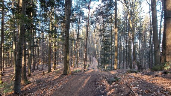 Foto von Regina Fleischmann entlang der Tour