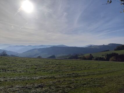 Foto von Sonja Cerny entlang der Tour