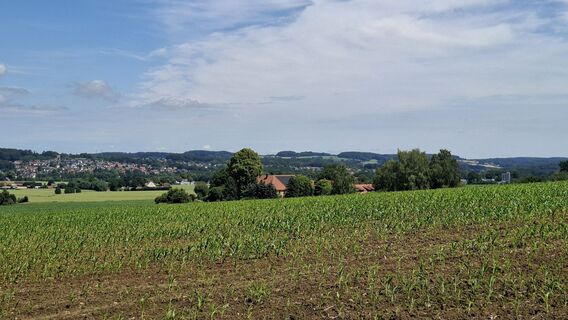 Foto von Torsten Sledz entlang der Tour