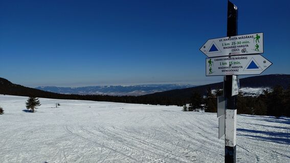 Zdjęcie z István Gábor 1 wzdłuż trasy