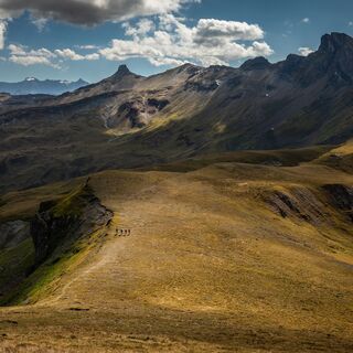Aussicht auf den Spitzmeilen