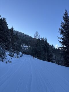 Sankt Koloman_Trattberg